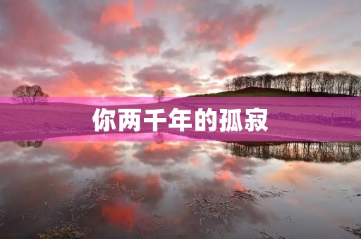 你两千年的孤寂