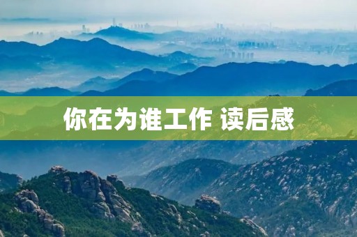 你在为谁工作 读后感