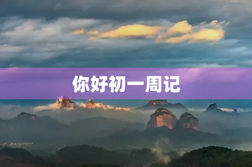 你好初一周记