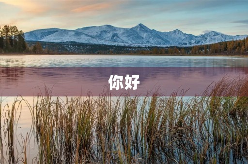 你好,诚信350字三年级作文 你好,诚信350字三年级作文