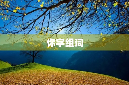你字组词(你组词)