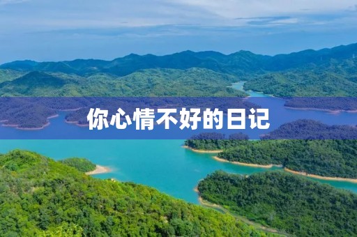 你心情不好的日记 你心情不好的日记