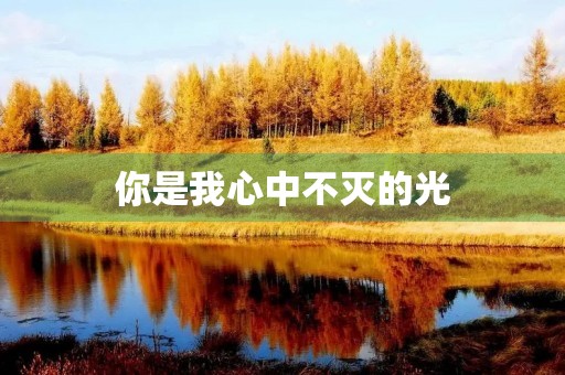 你是我心中不灭的光