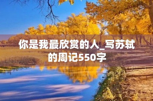 你是我最欣赏的人_写苏轼的周记550字