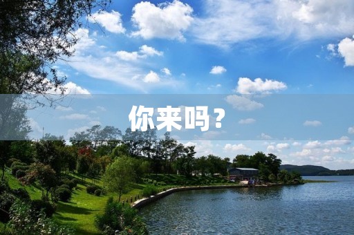 你来吗? 你来吗?