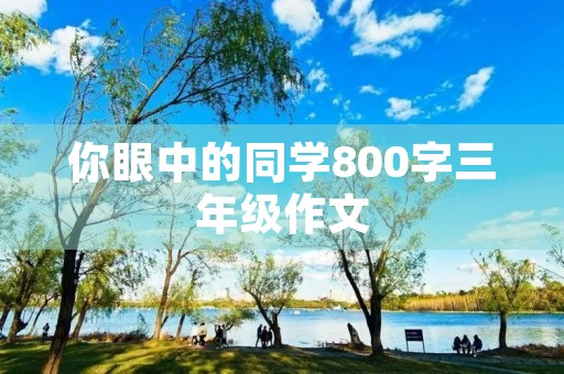 你眼中的同学800字三年级作文