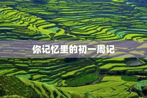 你记忆里的初一周记 你记忆里的初一周记