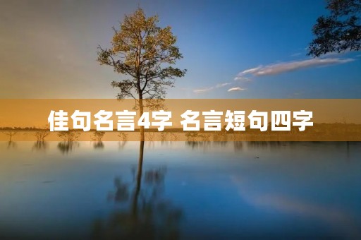 佳句名言4字 名言短句四字