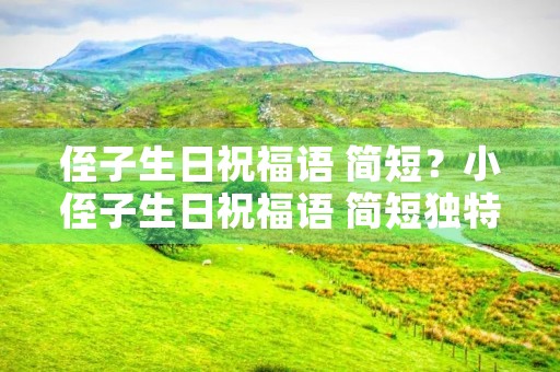 侄子生日祝福语 简短？小侄子生日祝福语 简短独特