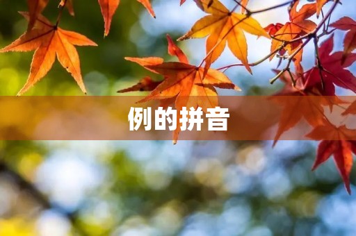 例的拼音(例的拼音) 例的拼音(例的拼音)