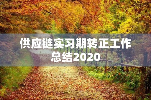 供应链实习期转正工作总结2020