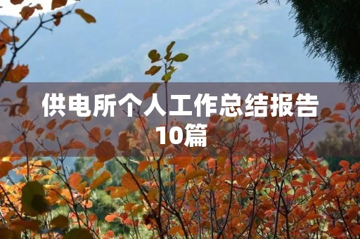 供电所个人工作总结报告10篇
