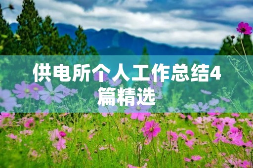 供电所个人工作总结4篇精选