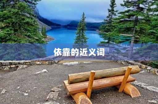 依靠的近义词(依靠的近义词) 依靠的近义词(依靠的近义词)
