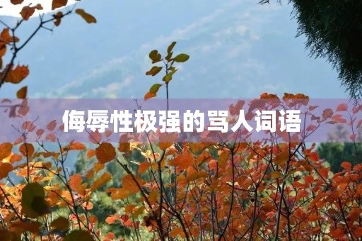 侮辱性极强的骂人词语(侮辱性极强的骂人句子) 侮辱性极强的骂人词语(侮辱性极强的骂人句子)