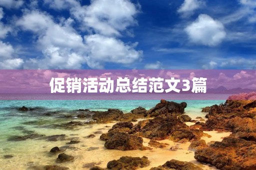 促销活动总结范文3篇 促销活动总结范文3篇