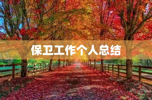 保卫工作个人总结
