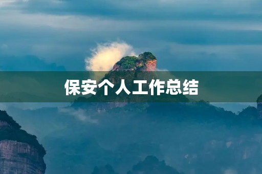 保安个人工作总结 保安个人工作总结