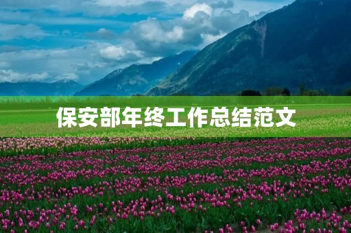 保安部年终工作总结范文