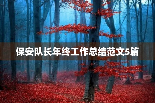 保安队长年终工作总结范文5篇