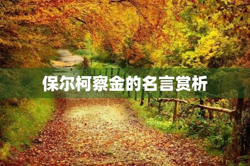 保尔柯察金的名言赏析(保尔柯察金的至理名言) 保尔柯察金的名言赏析(保尔柯察金的至理名言)