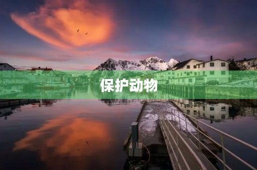 保护动物,让地球更美好 保护动物,让地球更美好