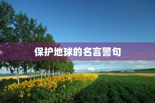 保护地球的名言警句(保护地球的名言警句简短)