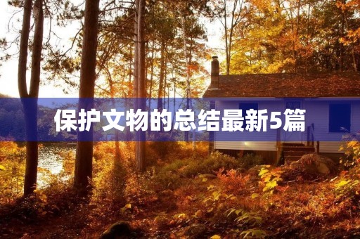 保护文物的总结最新5篇
