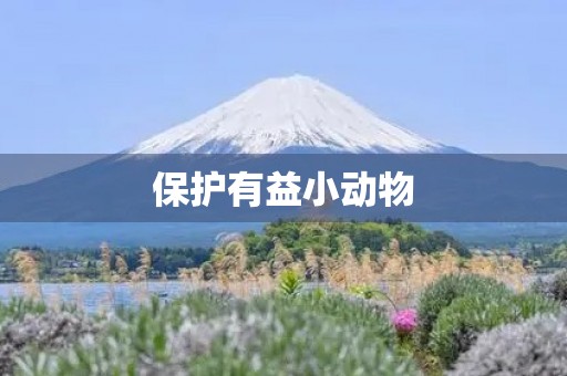 保护有益小动物