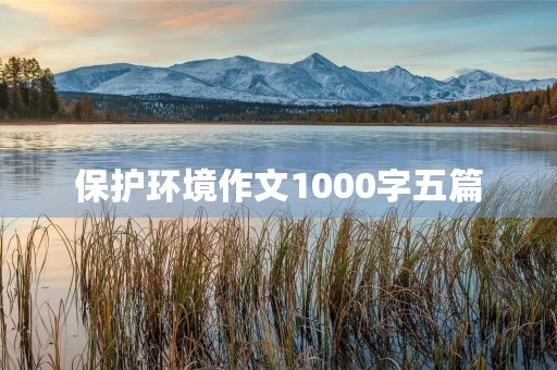 保护环境作文1000字五篇