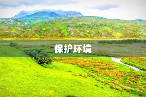 保护环境，人人有责300字三年级作文