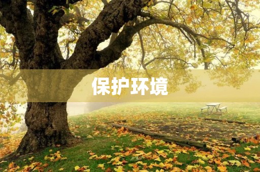 保护环境，从我做起