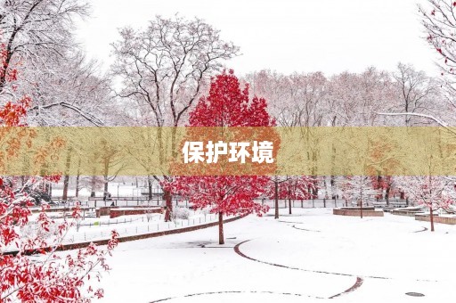 保护环境，共建美好家园