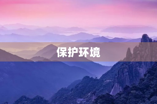 保护环境，我们每个人都有责任