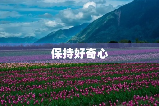保持好奇心,发现美好生活 保持好奇心,发现美好生活