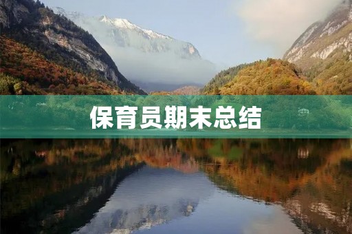 保育员期末总结
