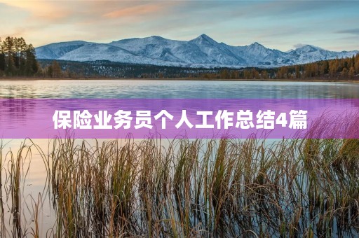 保险业务员个人工作总结4篇
