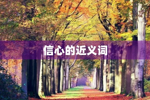 信心的近义词(信心的近义词)