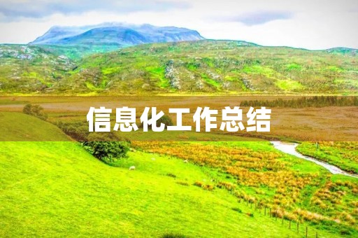 信息化工作总结