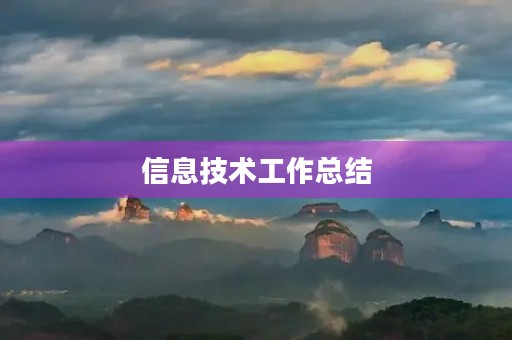 信息技术工作总结