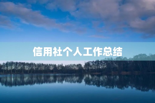 信用社个人工作总结