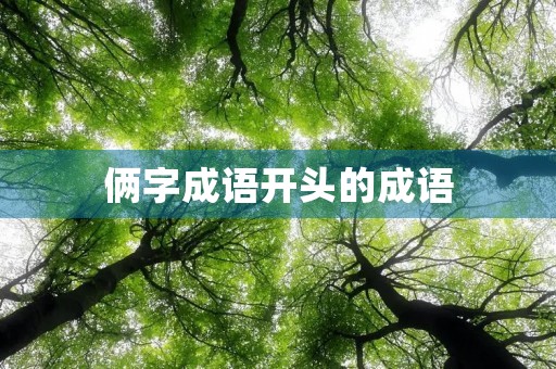 俩字成语开头的成语,传承千年的智慧之光 俩字成语开头的成语,传承千年的智慧之光