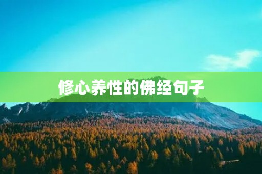 修心养性的佛经句子(修心养性的**)