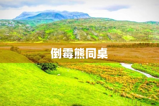 倒霉熊同桌 倒霉熊同桌