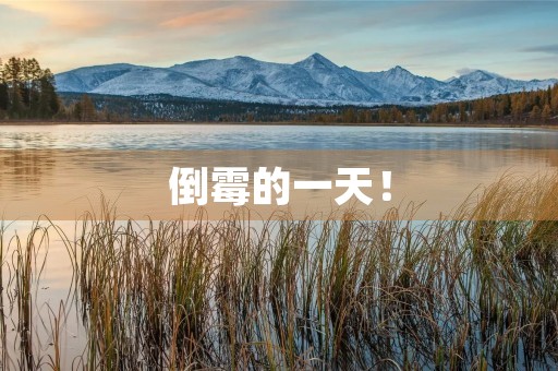 倒霉的一天! 倒霉的一天!