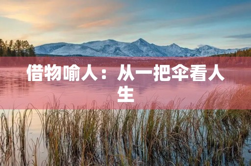 借物喻人：从一把伞看人生