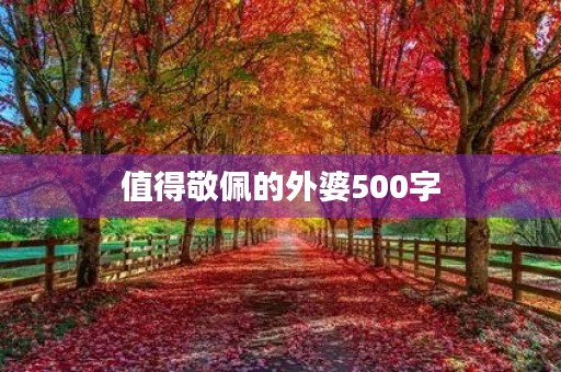 值得敬佩的外婆500字 值得敬佩的外婆500字