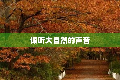 倾听大自然的声音,感受生命的美好 倾听大自然的声音,感受生命的美好
