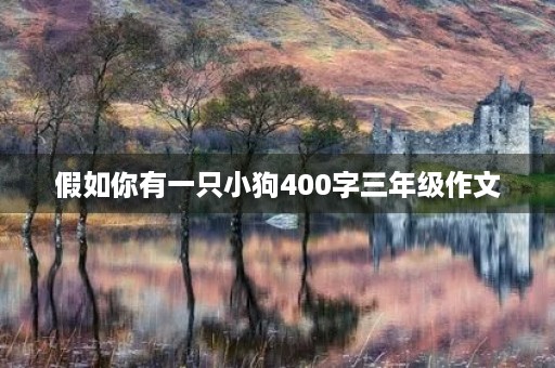 假如你有一只小狗400字三年级作文