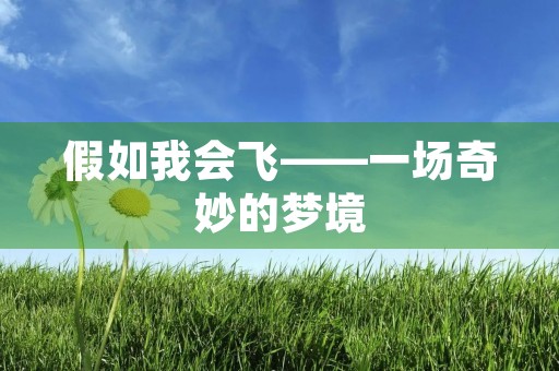 假如我会飞——一场奇妙的梦境